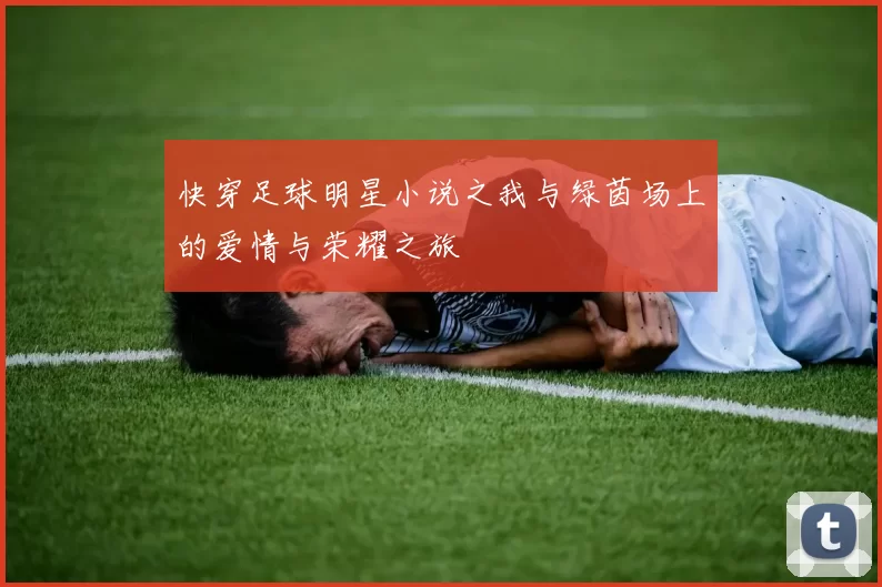 快穿足球明星小说之我与绿茵场上的爱情与荣耀之旅