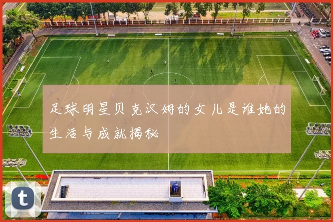 足球明星贝克汉姆的女儿是谁她的生活与成就揭秘