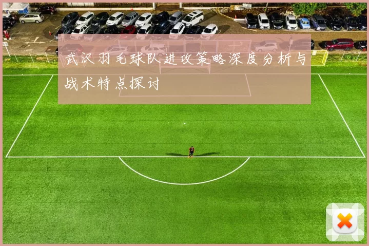 武汉羽毛球队进攻策略深度分析与战术特点探讨