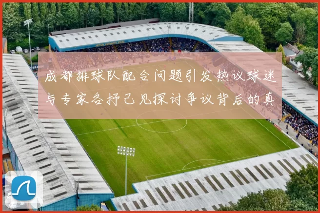 成都排球队配合问题引发热议球迷与专家各抒己见探讨争议背后的真相