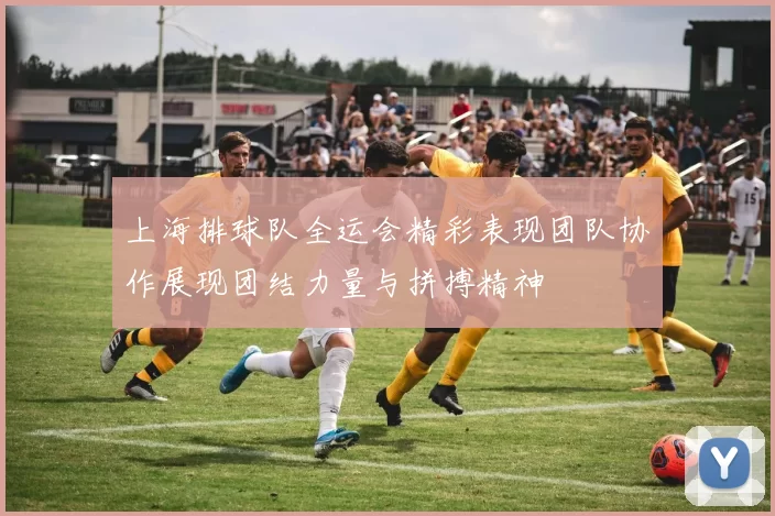 上海排球队全运会精彩表现团队协作展现团结力量与拼搏精神