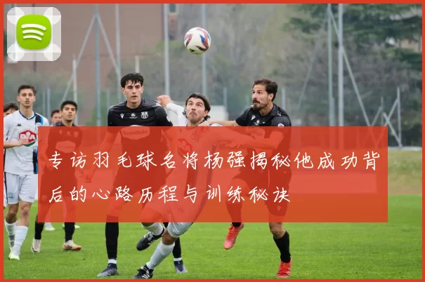 专访羽毛球名将杨强揭秘他成功背后的心路历程与训练秘诀