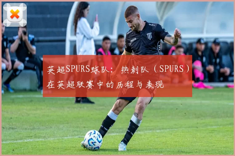 英超SPURS球队：热刺队（SPURS）在英超联赛中的历程与表现