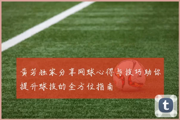黄芳独家分享网球心得与技巧助你提升球技的全方位指南