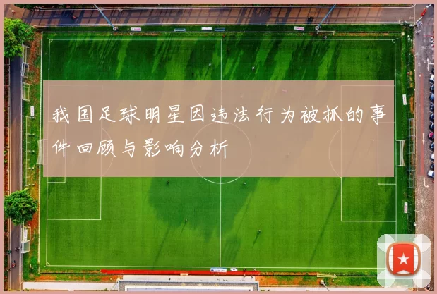 我国足球明星因违法行为被抓的事件回顾与影响分析