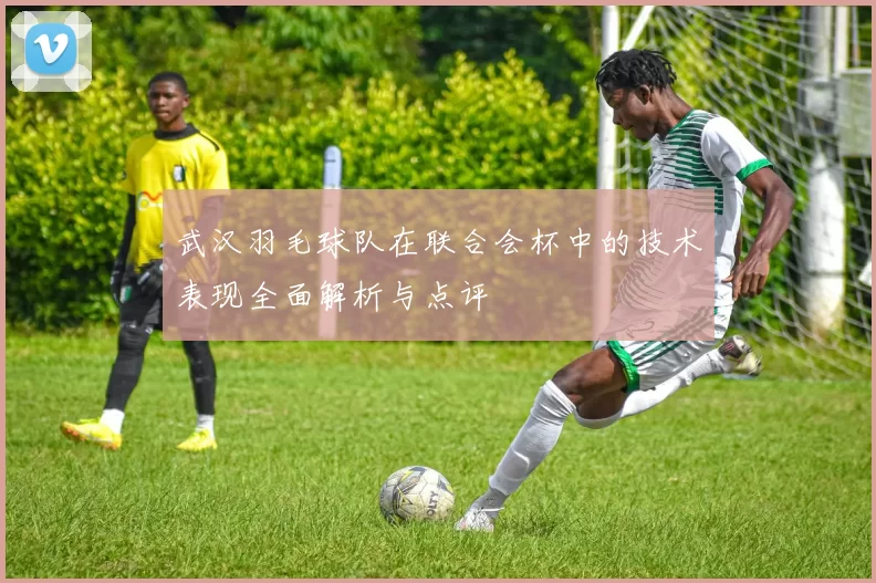 武汉羽毛球队在联合会杯中的技术表现全面解析与点评