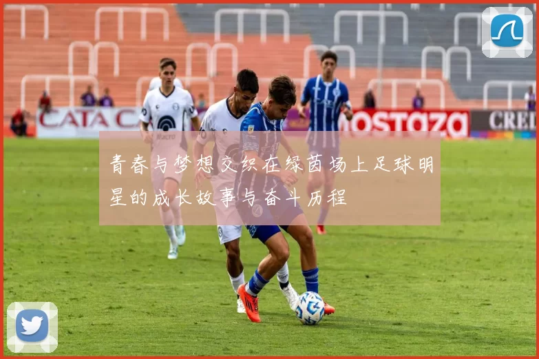 青春与梦想交织在绿茵场上足球明星的成长故事与奋斗历程