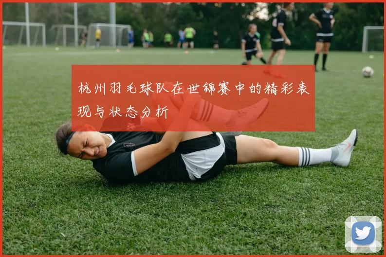 杭州羽毛球队在世锦赛中的精彩表现与状态分析