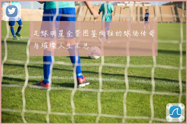 足球明星全景图鉴向往的球场传奇与璀璨人生汇总