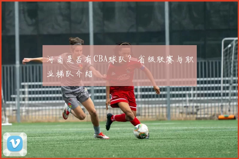 河南是否有CBA球队？省级联赛与职业梯队介绍