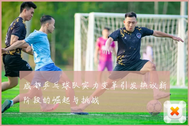成都乒乓球队实力变革引发热议新阶段的崛起与挑战