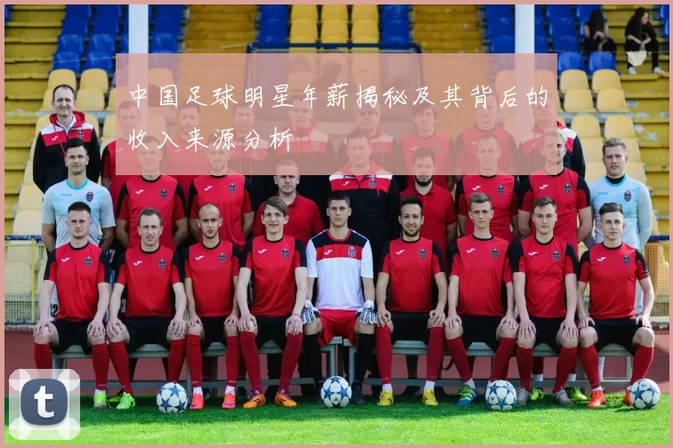 中国足球明星年薪揭秘及其背后的收入来源分析