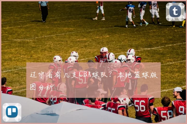 辽宁省有几支CBA球队？本地篮球版图分析