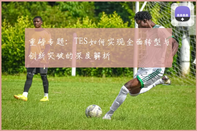 重磅专题：TES如何实现全面转型与创新突破的深度解析