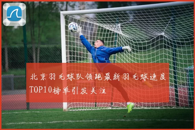 北京羽毛球队领跑最新羽毛球速度TOP10榜单引发关注
