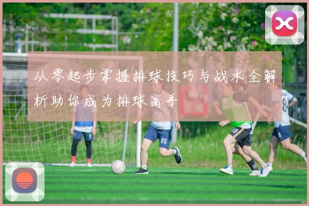 从零起步掌握排球技巧与战术全解析助你成为排球高手