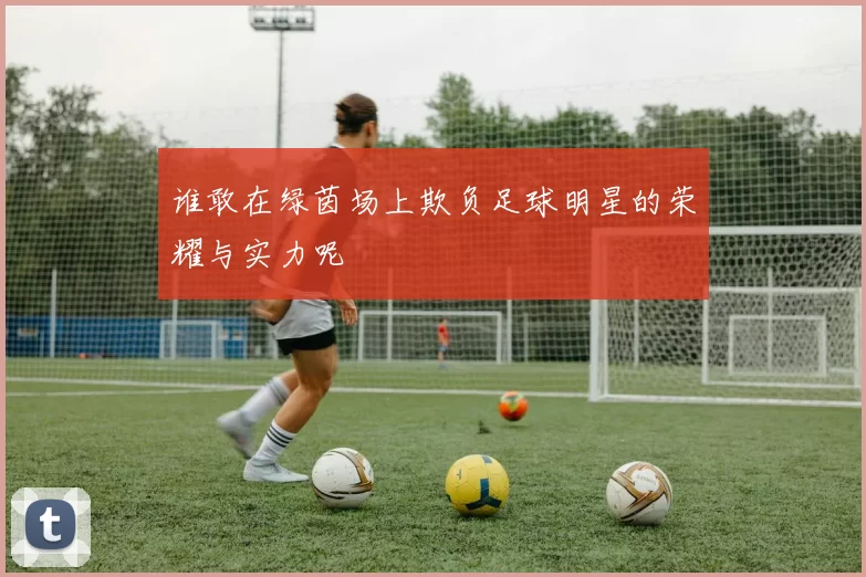 谁敢在绿茵场上欺负足球明星的荣耀与实力呢