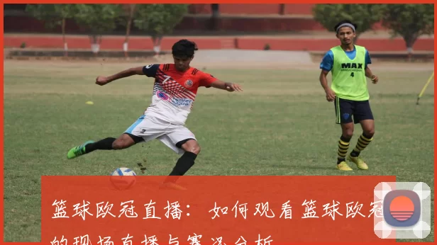 篮球欧冠直播：如何观看篮球欧冠的现场直播与赛况分析