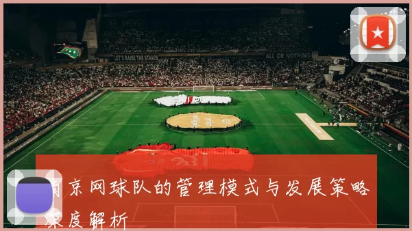南京网球队的管理模式与发展策略深度解析