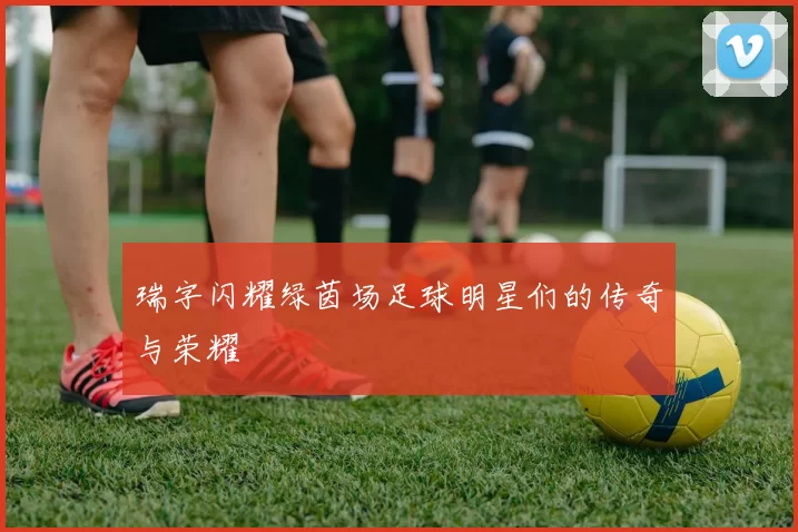 瑞字闪耀绿茵场足球明星们的传奇与荣耀