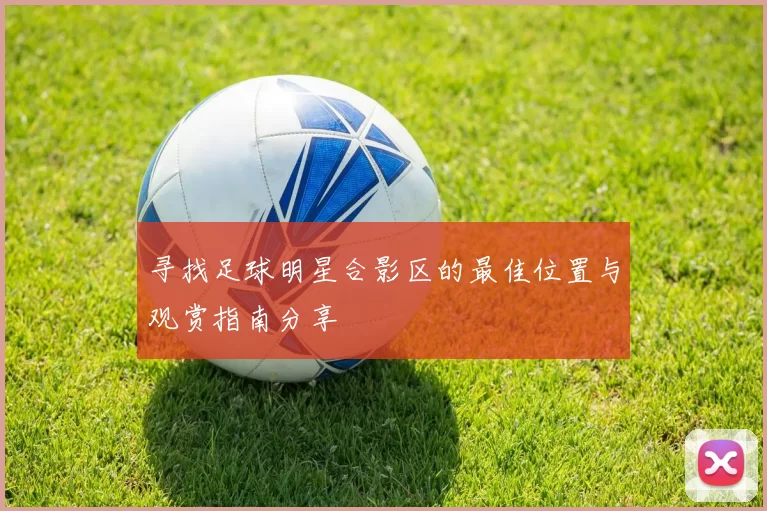 寻找足球明星合影区的最佳位置与观赏指南分享